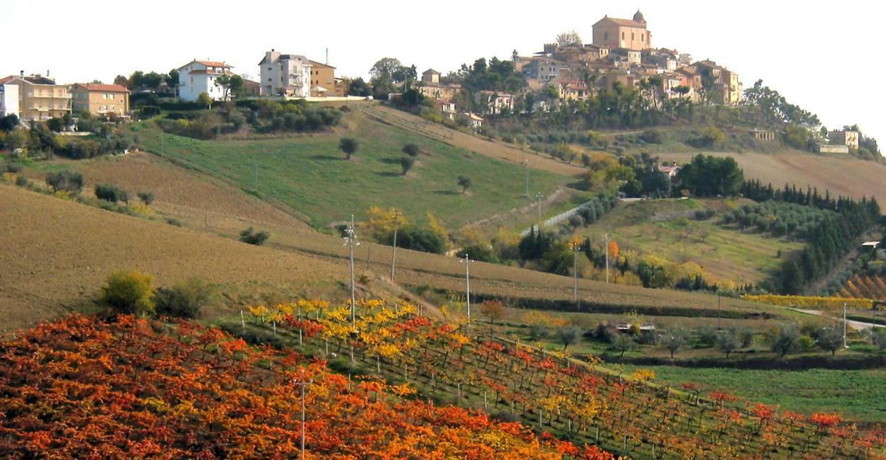 Gli Orti Di San Giacomo Bed and Breakfast Monteprandone Buitenkant foto
